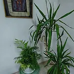 아파트 Gh With Private Parking