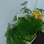 Gh With Private Parking * 스코페