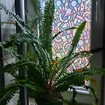 Gh With Private Parking 아파트 스코페