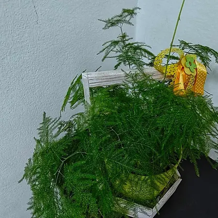 Gh With Private Parking * Skopje