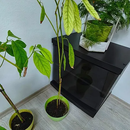 Appartement Gh With Private Parking