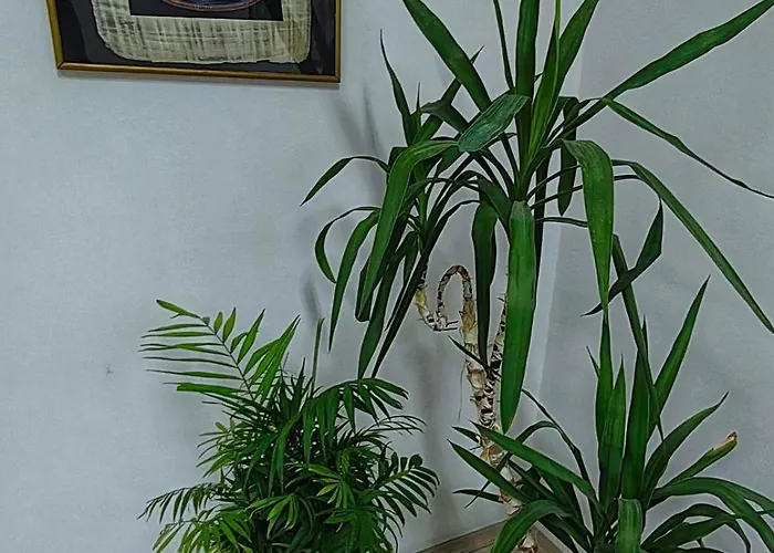 Appartement Gh With Private Parking