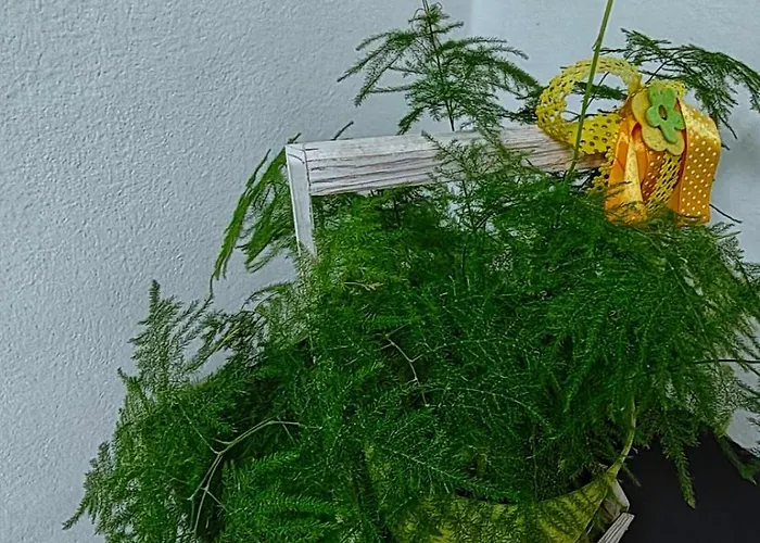 Gh With Private Parking * Skopje