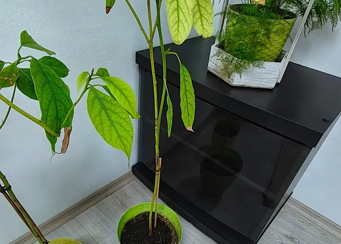 Appartement Gh With Private Parking